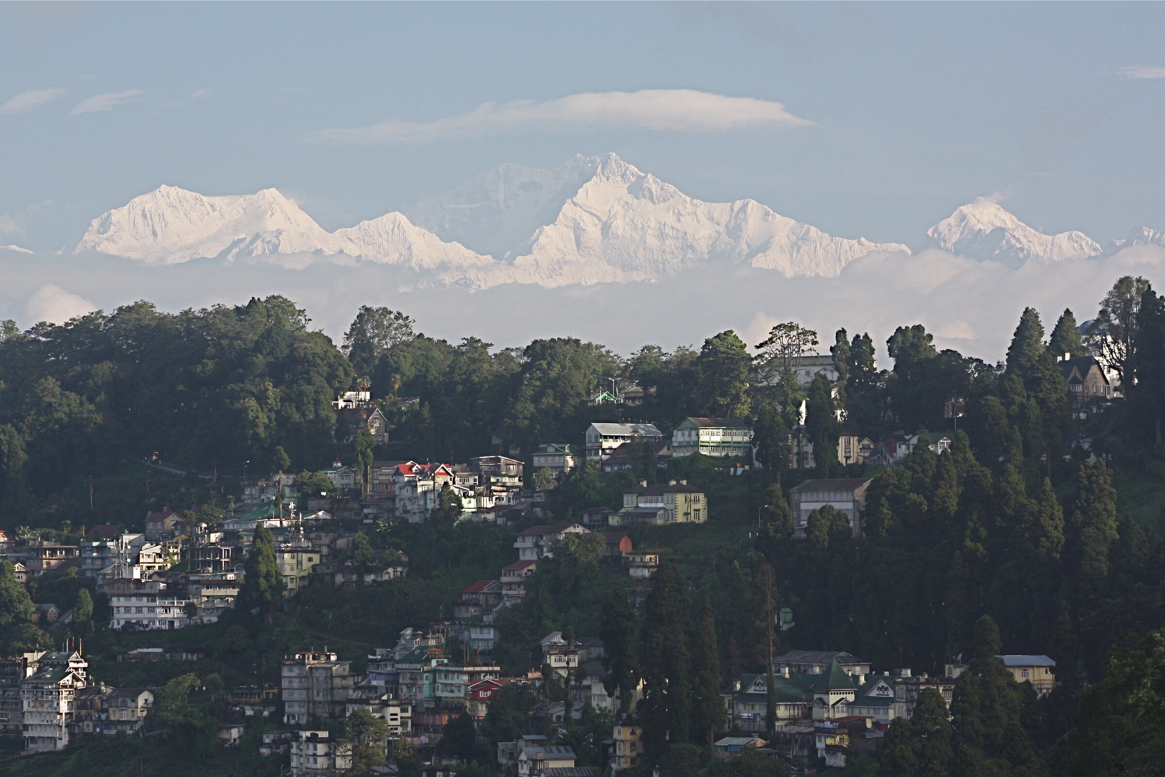 Darjeeling hillside with Kangchenjunga in the distance
