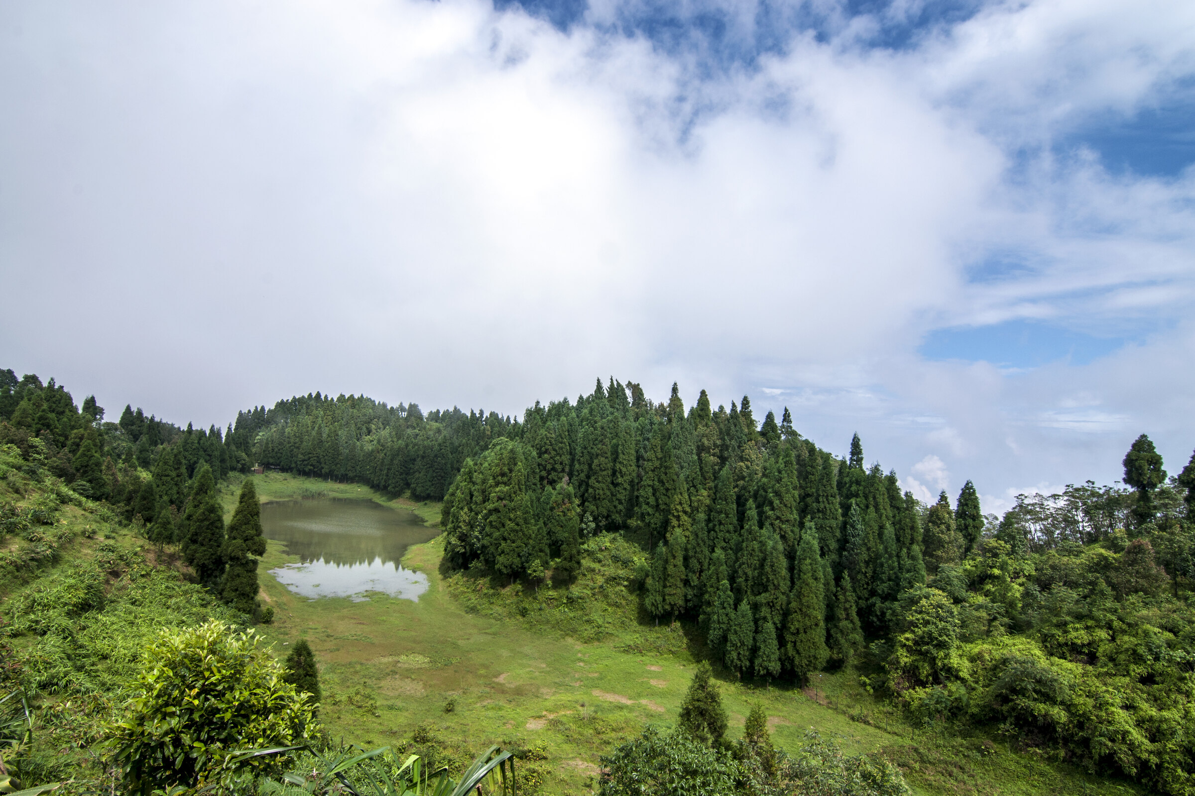 Namthing Pokhri and forest landscape at Latpanchar
