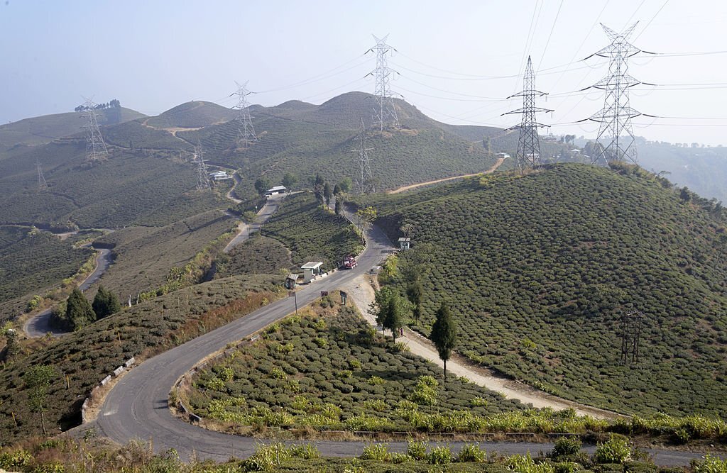 Landscape of tea garden at Tingling a small near place.Mirik.