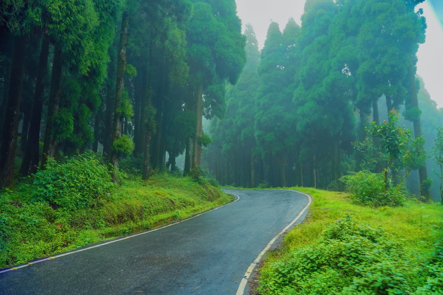 Chimney Village, Kurseong - Destination North Bengal