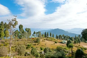 Explore the Top Tourist Places in Kalimpong District