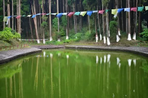 Siliguri to Lamahatta Your Ultimate Travel Guide to Natures Paradise - Destination North Bengal