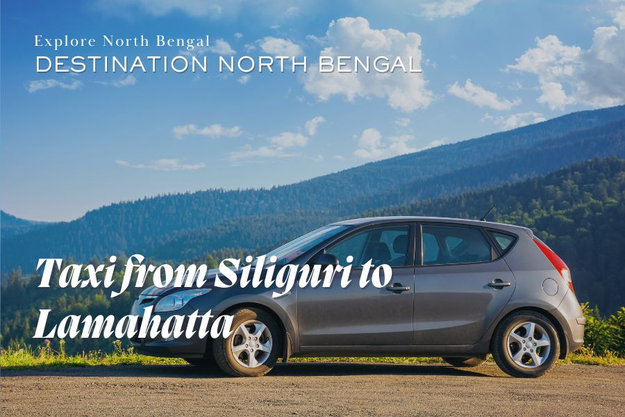 Taxi from Siliguri to Lamahatta - Destination North Bengal