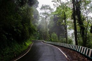 How to reach Tabakoshi to Lepchajagat - Destination North Bengal