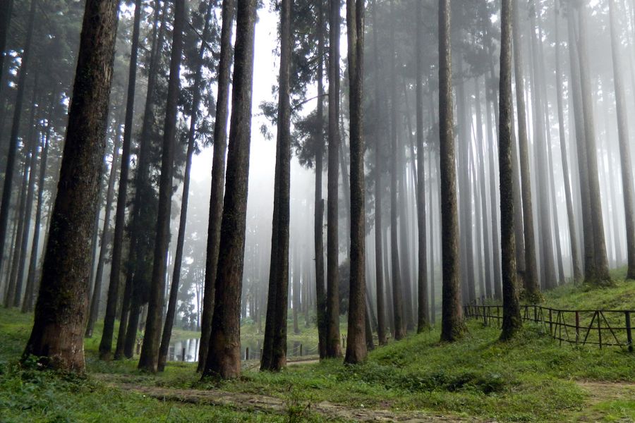 Is Lepchajagat Worth Visiting - Honest Travel Guide