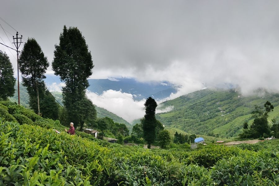 North Bengal Offbeat Destinations on a Budget